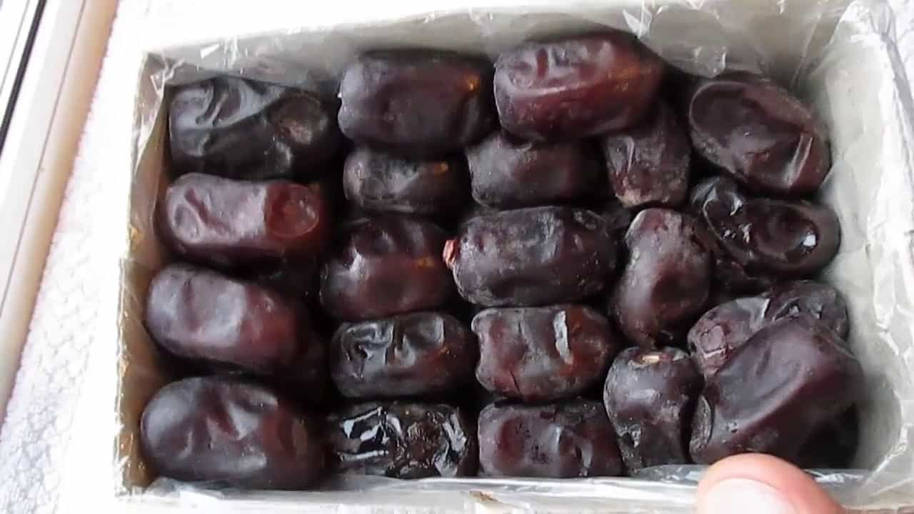 تصویر 1 از خرما مضافتي بم برداشت تازه نخلستان